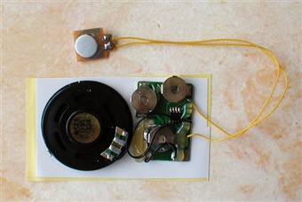 1301 Series Sound Module